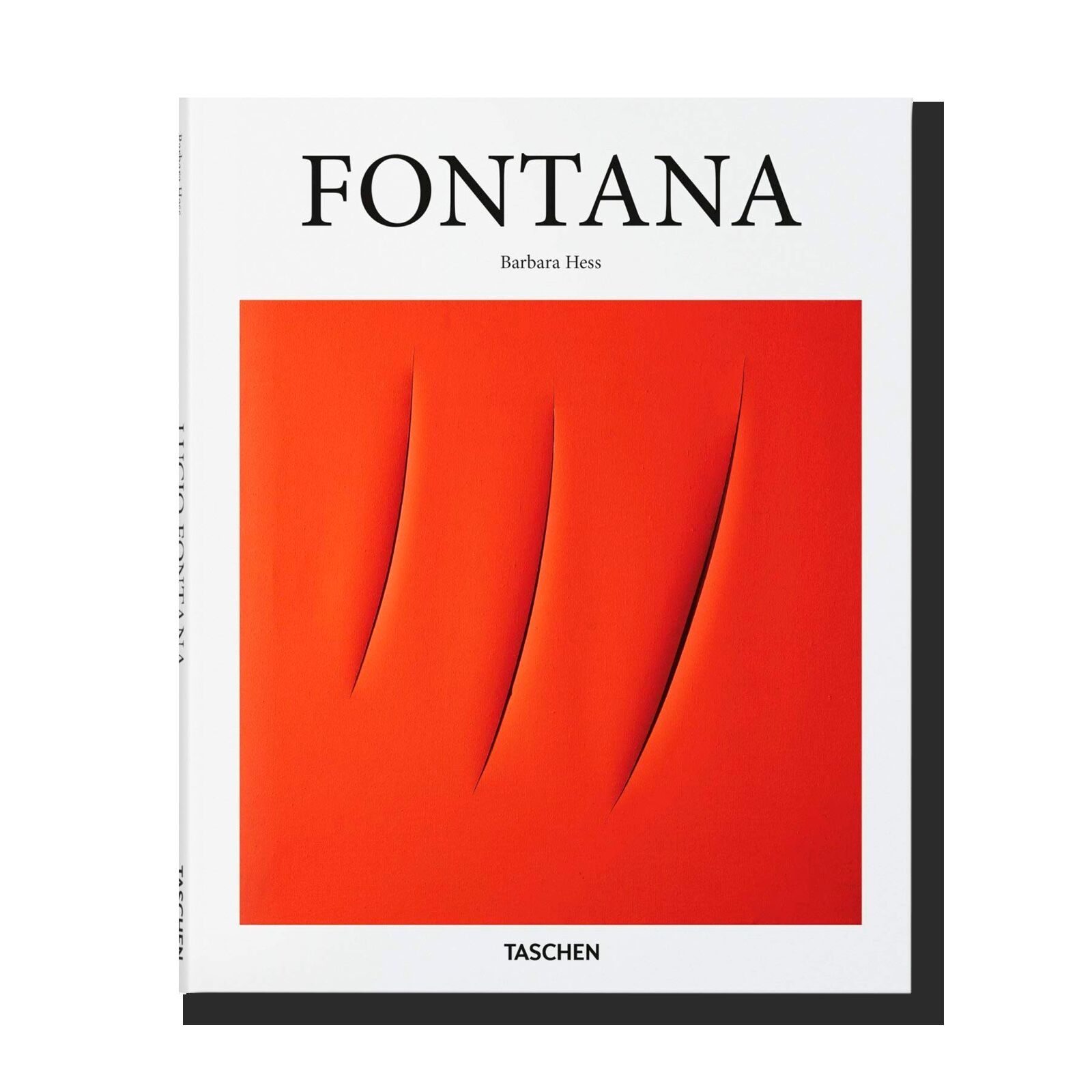 Fontana (Basic Art Series) 