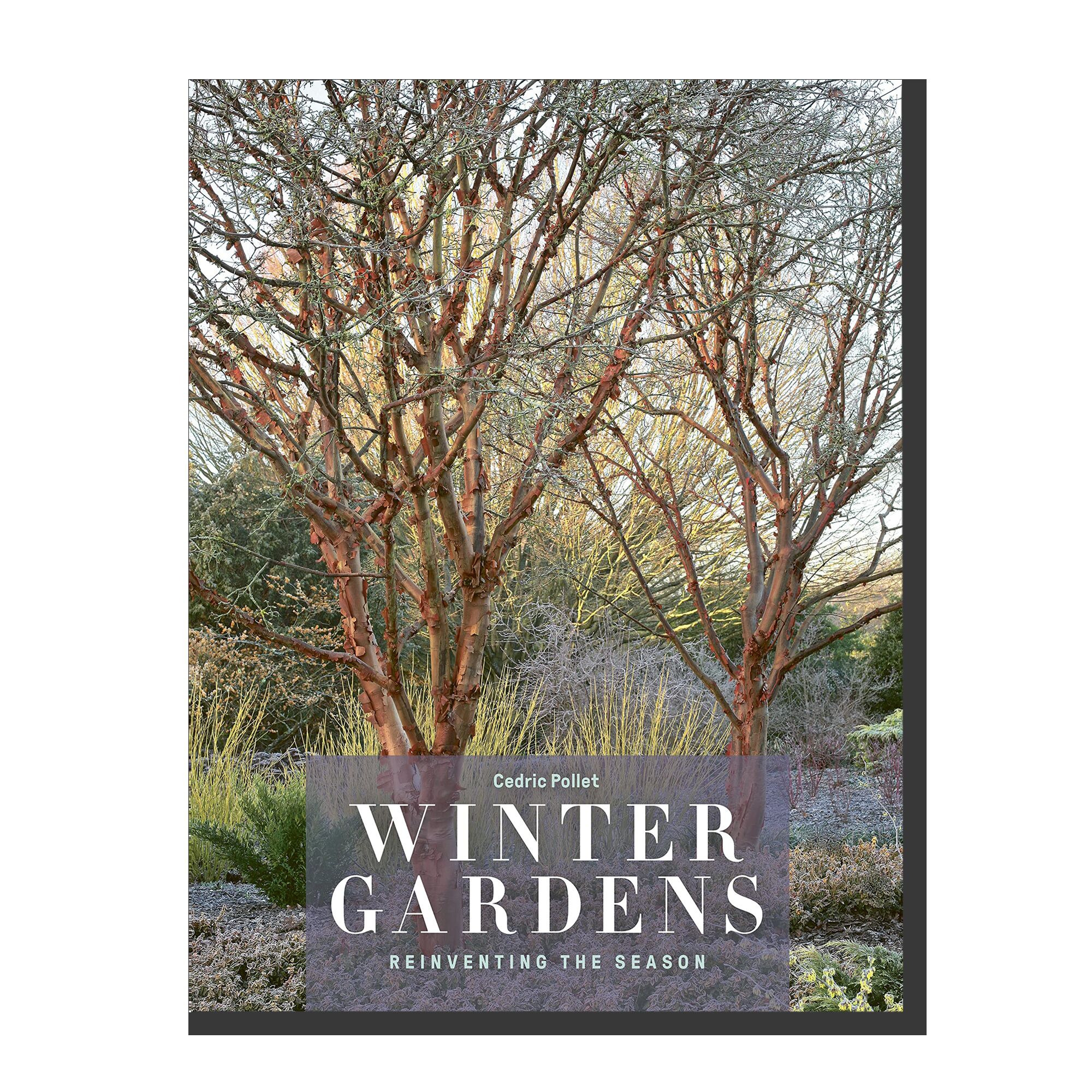 Winter Gardens: Reinventing the Season