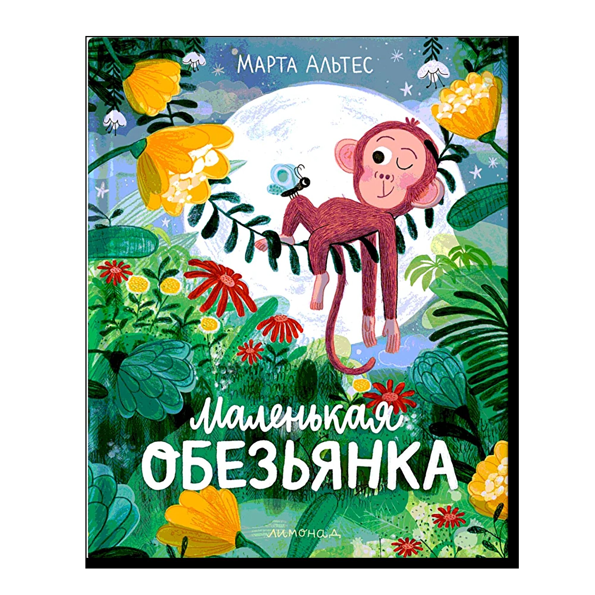 Маленькая обезьянка
