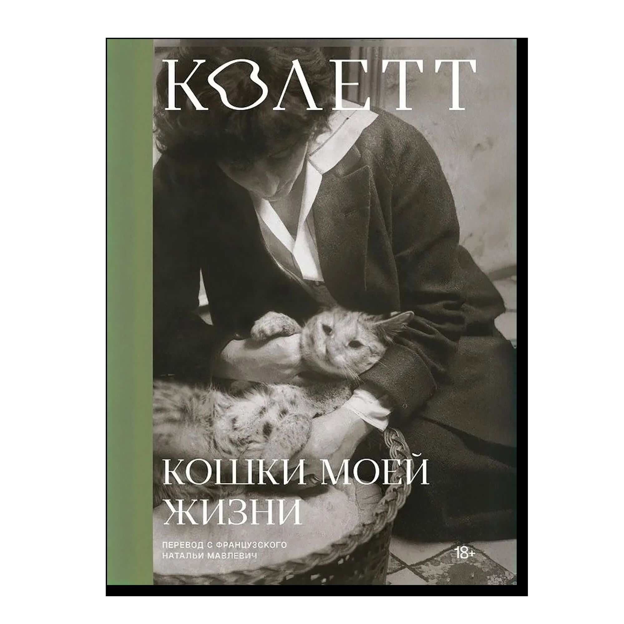 Кошки моей жизни