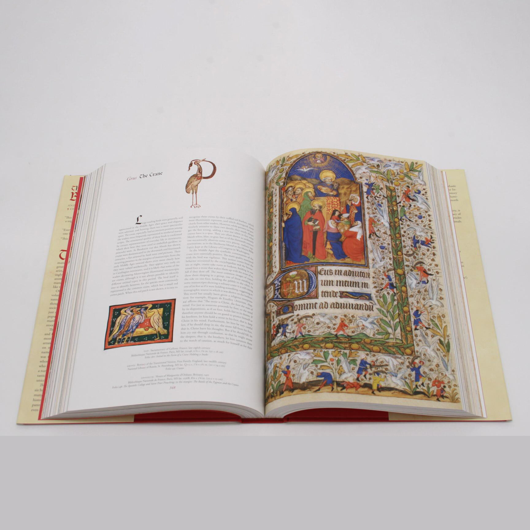 Illuminated　Manuscripts　Esoterica　Grand　books　(Dragonet　Garage　in　The　Bestiary　Animals　in　Medieval　Shop　Edition):　buy