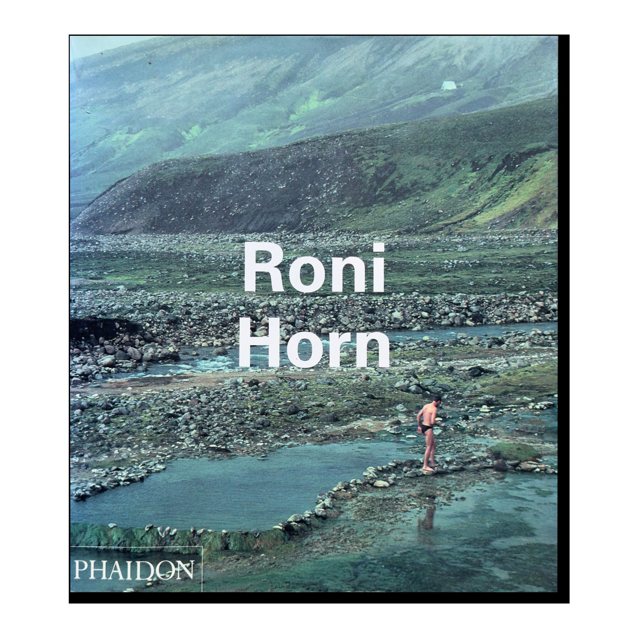 Roni Horn