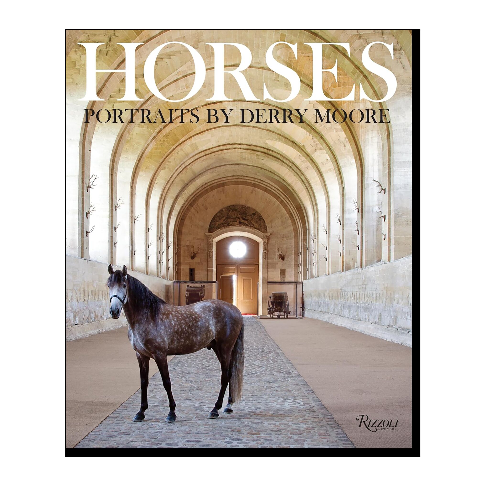 Horses: Portraits by Derry Moore