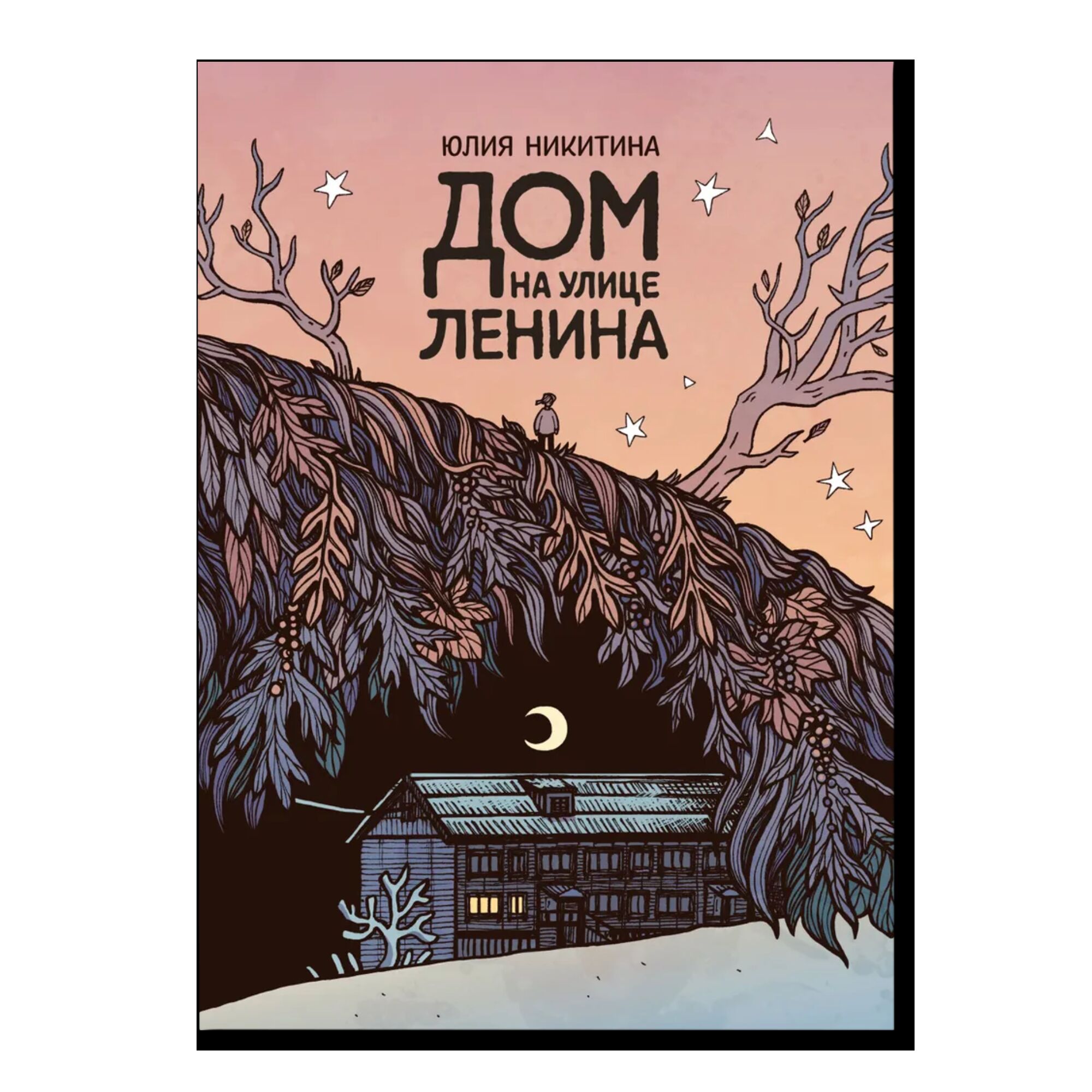 Дом на улице Ленина