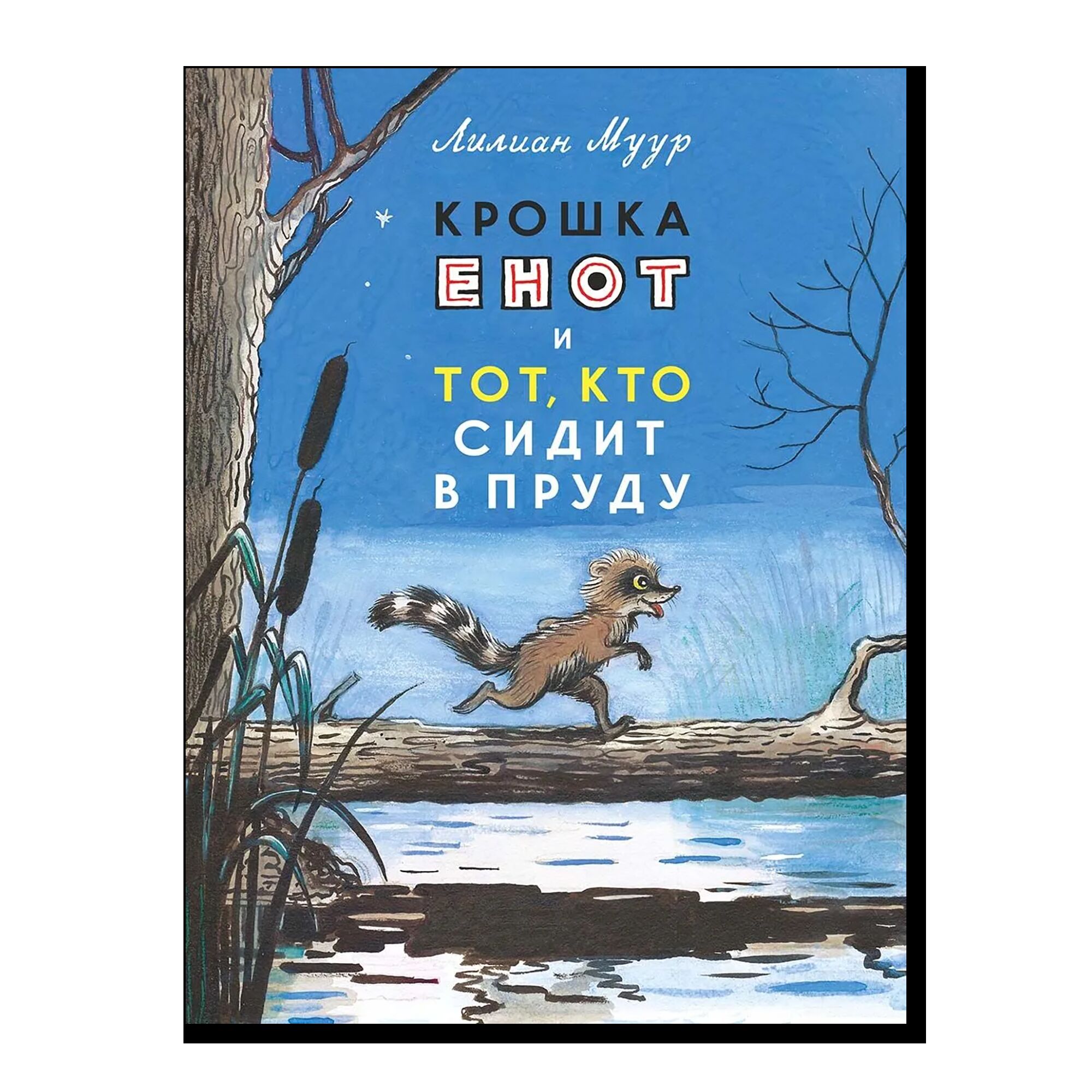 Крошка енот и тот, кто сидит в пруду